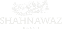 Shahnawaz Ranch
